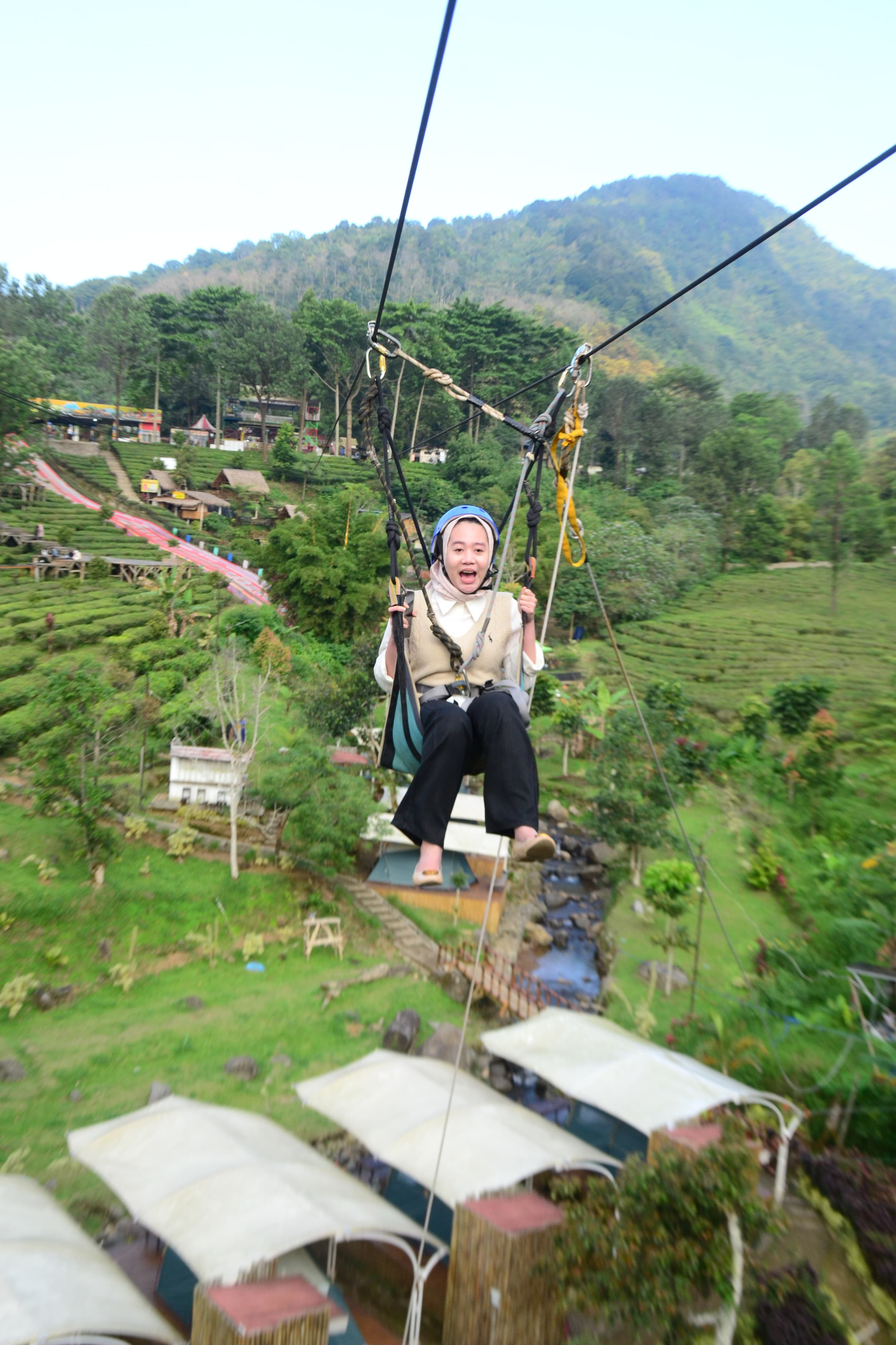 Flying Fox - View 2