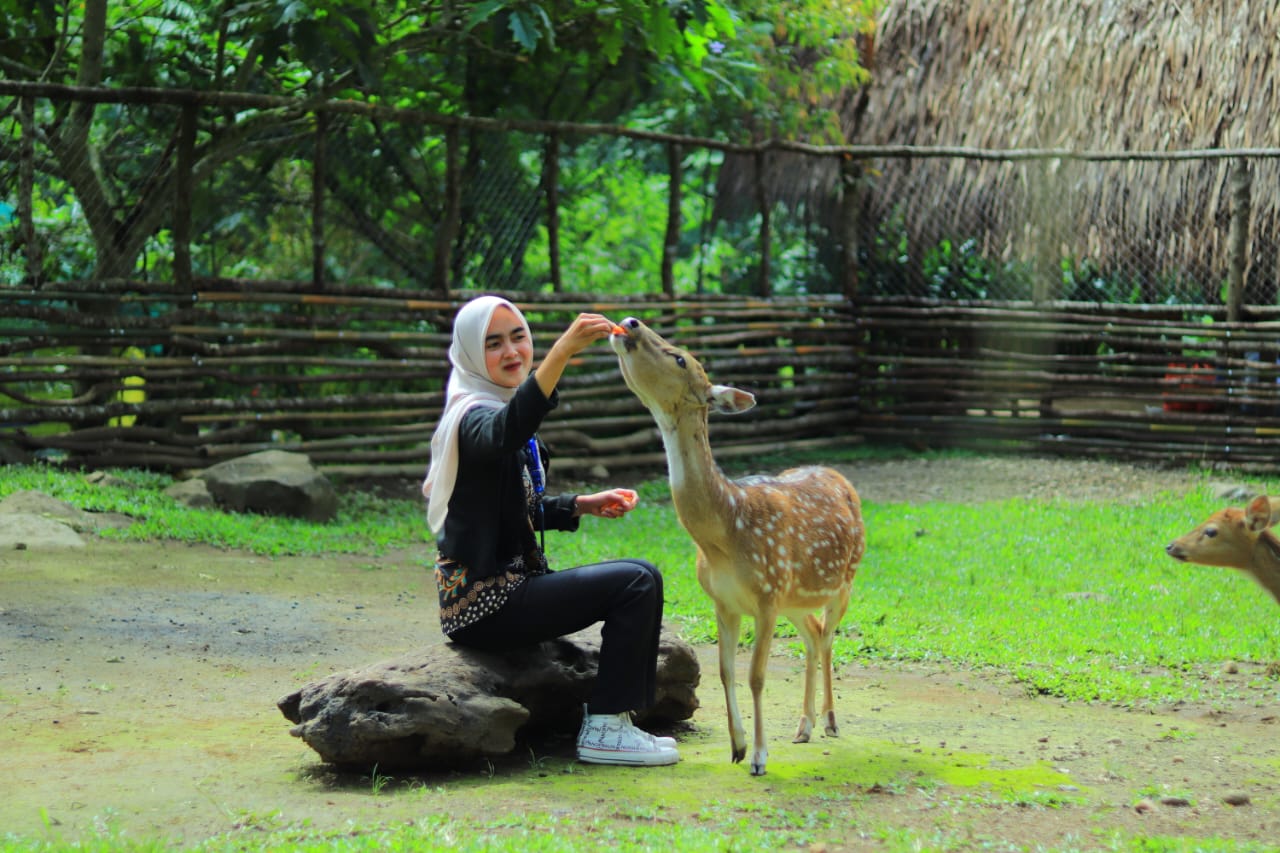 Feeding Rusa - View 1